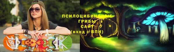 марки lsd Краснослободск