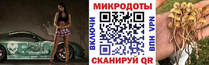 наркошоп  omg ТОР  Галлюциногенные грибы Psilocybe  Шилка 